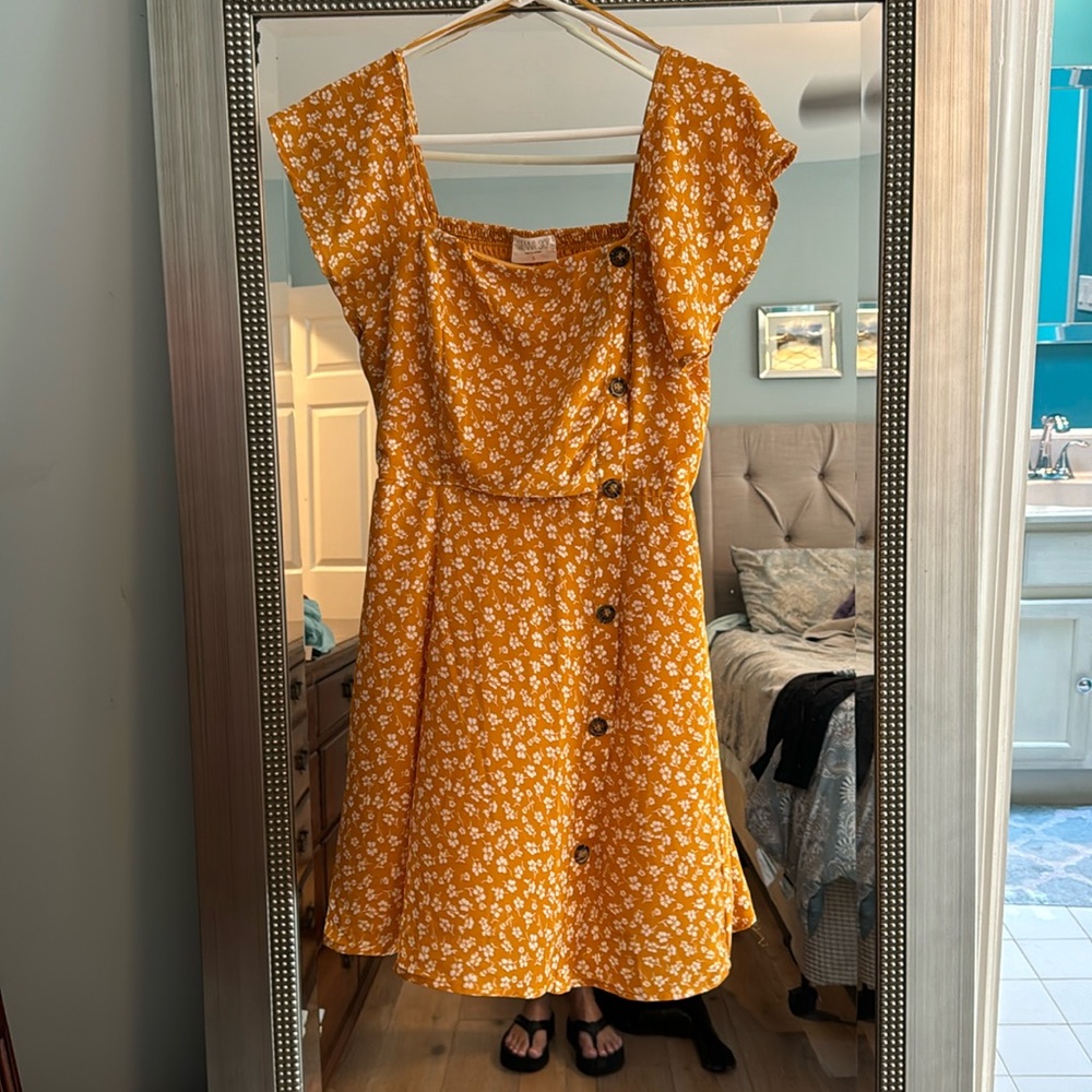 Newish Sienna Sky short dress